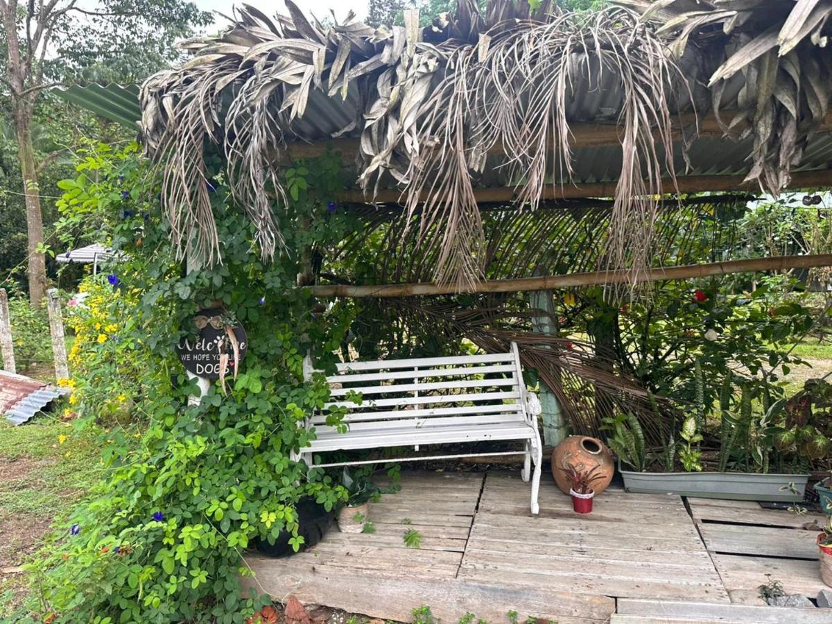 River Side Lodge Horquetas 외부 사진